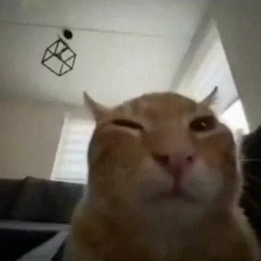Figurinha: Gatinho Piscando