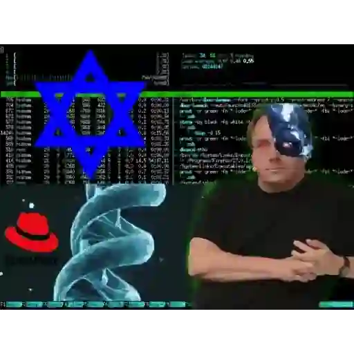 Figurinha: Linus Torvalds sobre SystemD