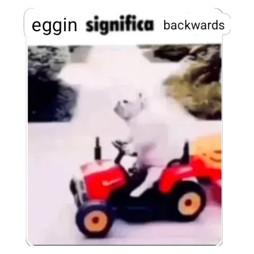Figurinha: Eggin backwards