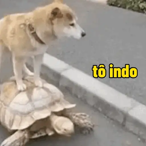 Figurinha: Cachorro andando de tartaruga