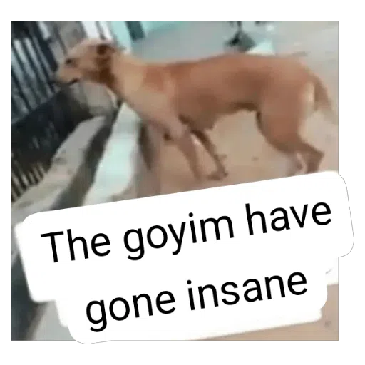 Figurinha: The goyim have gone insane
