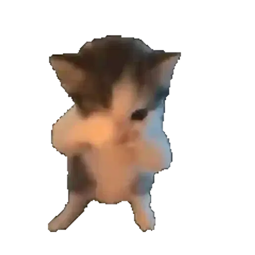 Figurinha: Gatinho Dançando