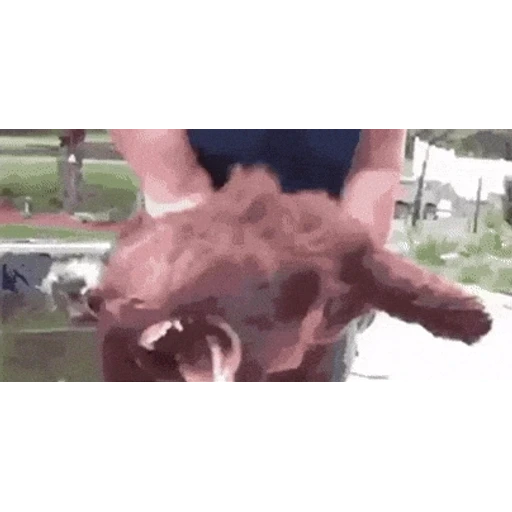 Figurinha: Cachorro brincando