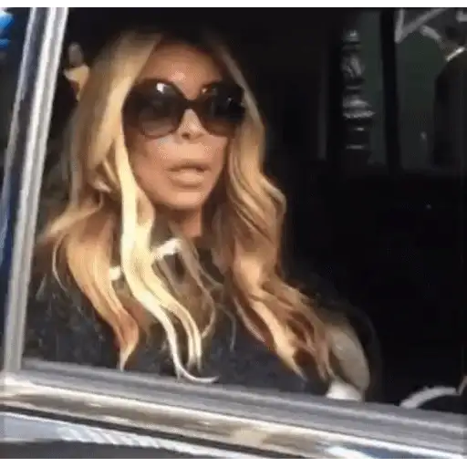 Figurinha: Wendy Williams no carro