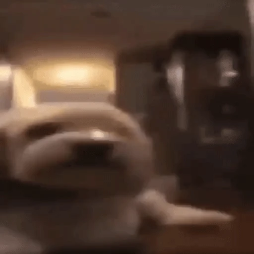Figurinha: Cachorro com sono
