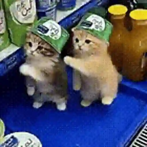 Figurinha: Gatinhos Dançarinos