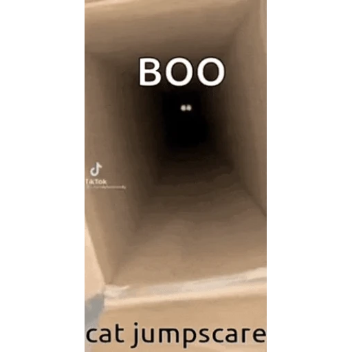 Figurinha: Gato Jumpscare