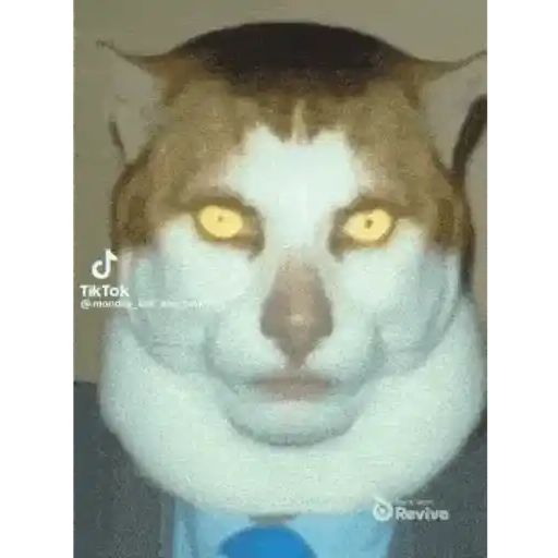 Figurinha: Gato Falante Bizarro