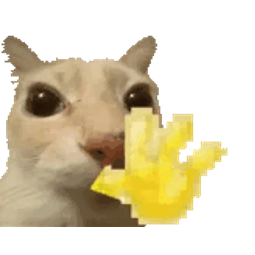Figurinha: Gato com mão amarela