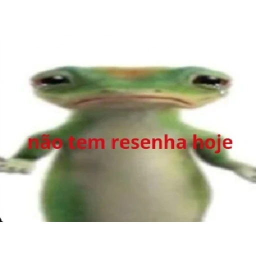 Figurinha: Não tem resenha hoje