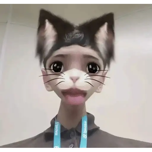 Figurinha: Filtro de Gatinho Fofo