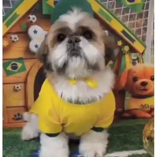 Figurinha: Cachorro torcedor brasileiro