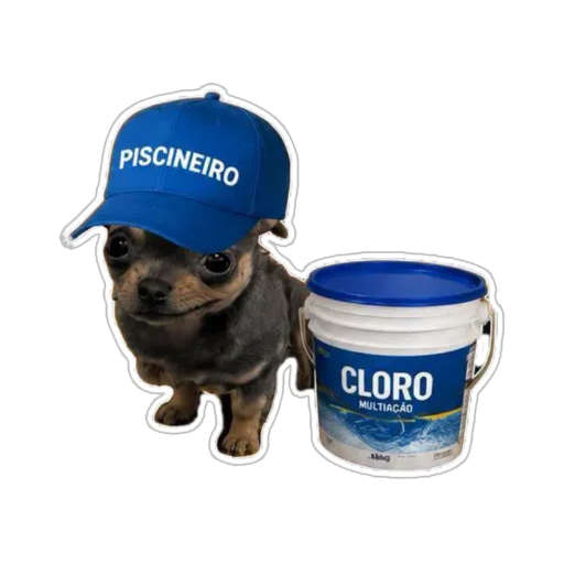Figurinha: Cachorro Piscineiro
