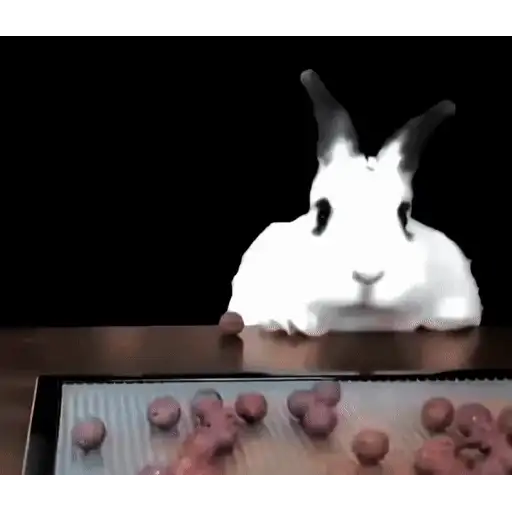 Figurinha: Coelhinho Comilão