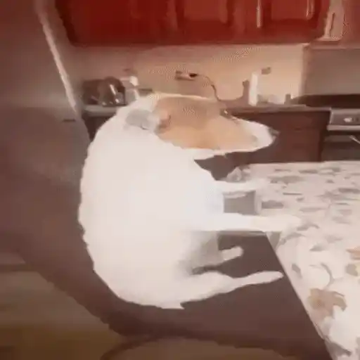 Figurinha: Cachorro Glitch