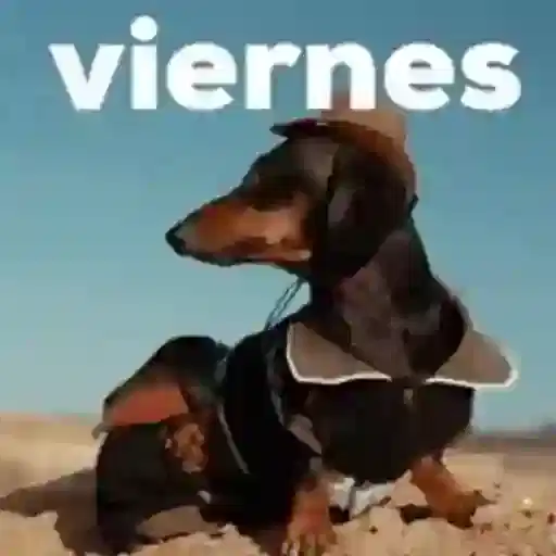 Figurinha: Viernes