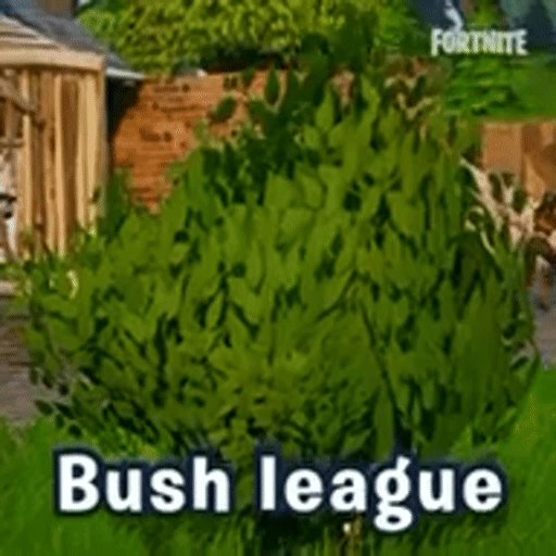 Figurinha: Bush League