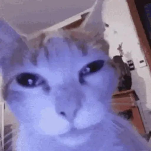Figurinha: Gato Glitch