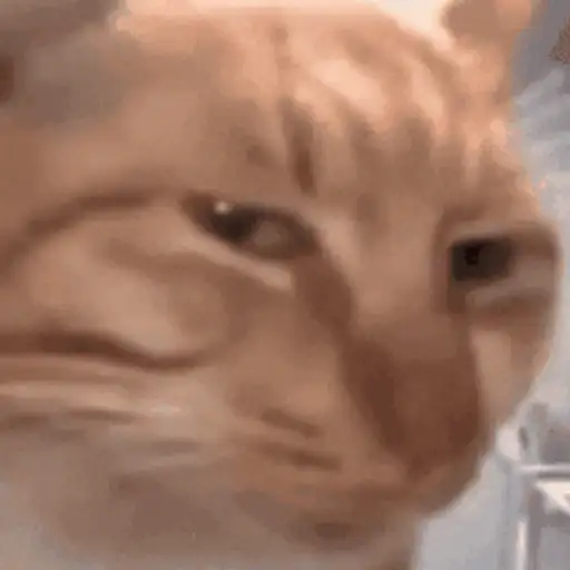 Figurinha: Gato desconfiado