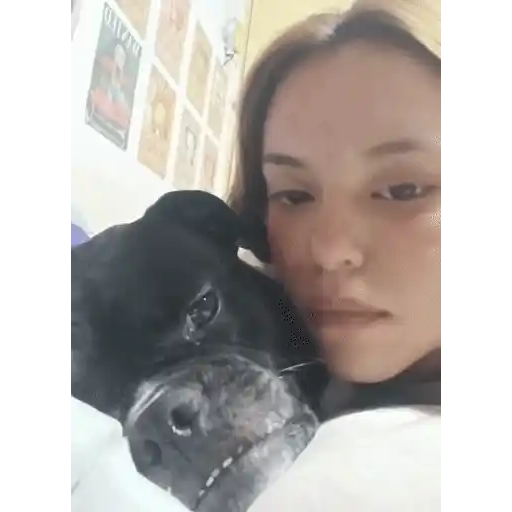Figurinha: Amor de pet