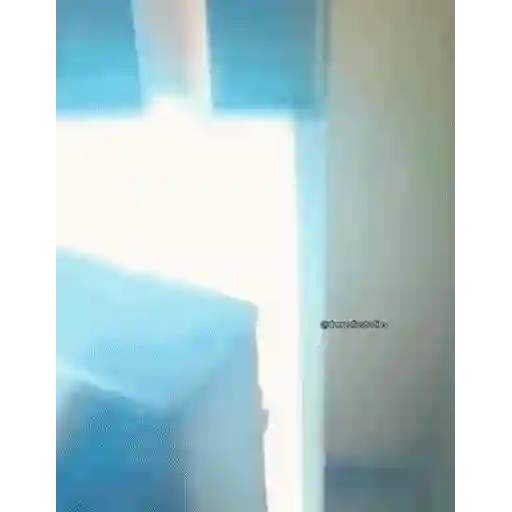 Figurinha: Cachorrinho na geladeira