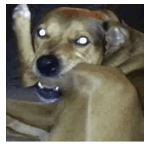 Figurinha: Cachorro mordendo a própria pata