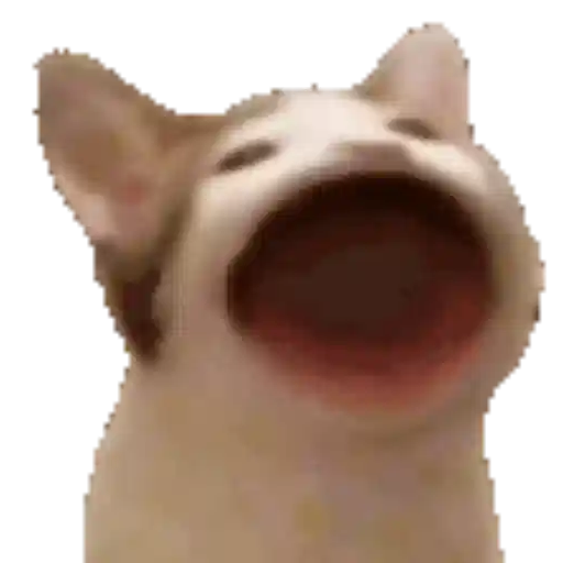 Figurinha: Pop Cat