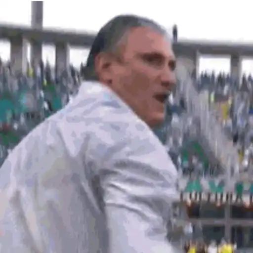 Figurinha: Tite bravo na beira do campo