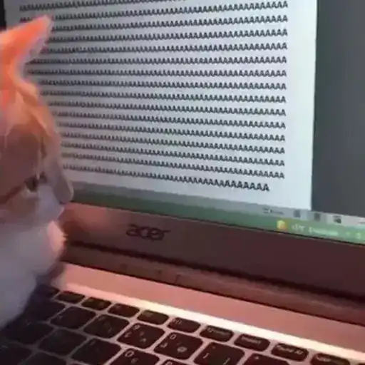 Figurinha: Gatinho programador gritando A