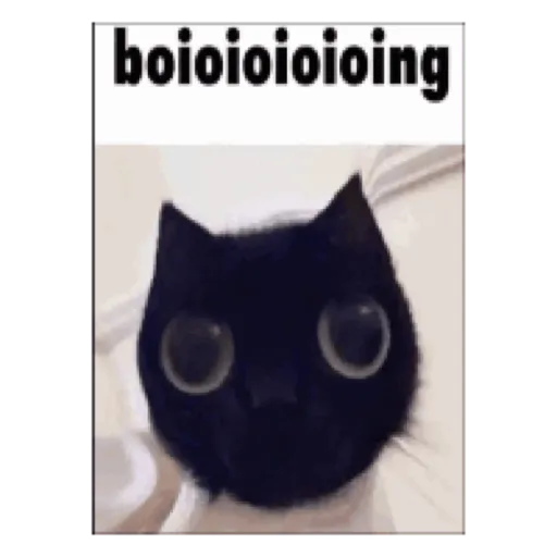 Figurinha: Gato boioioioioing