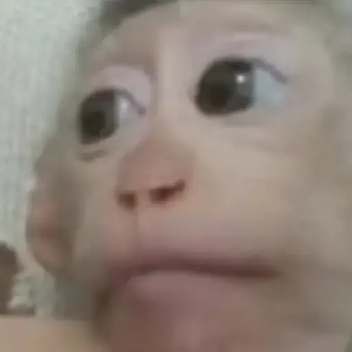 Figurinha: Macaco confuso