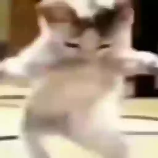 Figurinha: Gatinho dançante