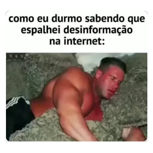 Figurinha: Como eu durmo espalhando fake news