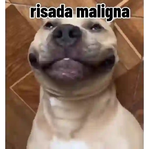 Figurinha: Risada Maligna