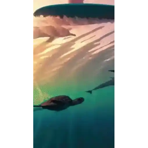 Figurinha: Cachorro surfista com golfinhos e tartar