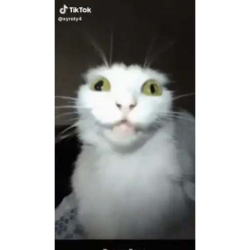 Figurinha: Gato assustado
