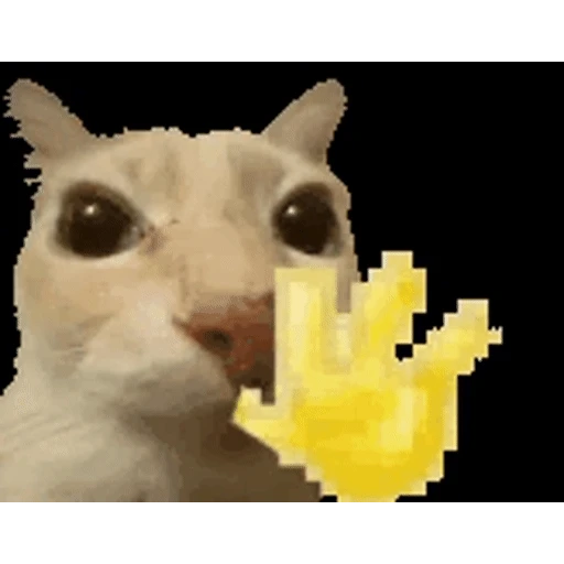 Figurinha: Gato com mão amarela