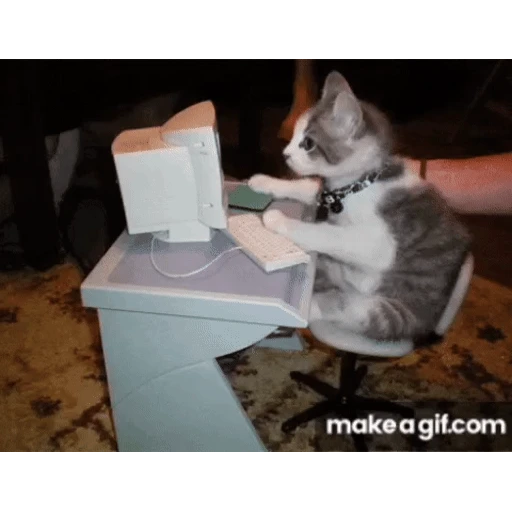 Figurinha: Gatinho programador