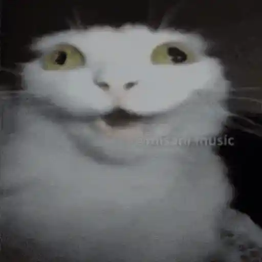 Figurinha: Gato meme com bug