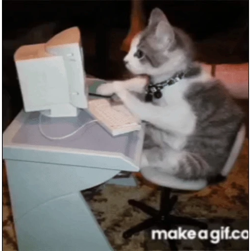 Figurinha: Gatinho programador