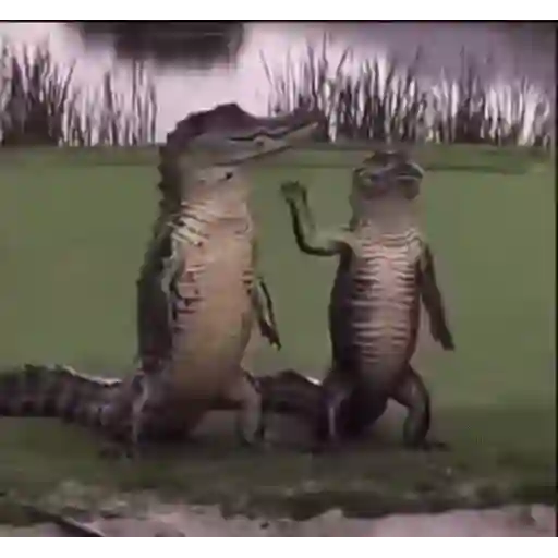 Figurinha: Jacarés Dançantes