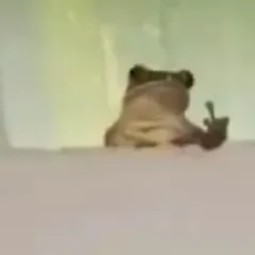 Figurinha: Sapo mostrando o dedo