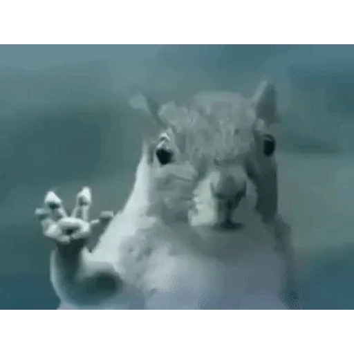 Figurinha: Esquilo dando tchau