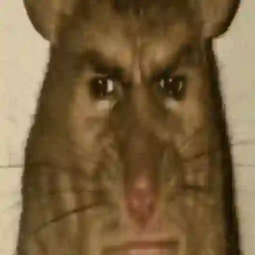 Figurinha: Rato Humano Irritado