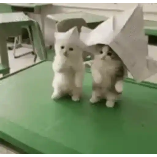Figurinha: Gatinhos com Chapéu de Papel