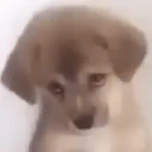 Figurinha: Cachorrinho Triste