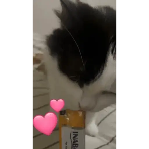 Figurinha: Gatinho comendo petisco Inaba