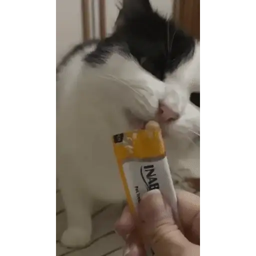 Figurinha: Gato comendo petisco