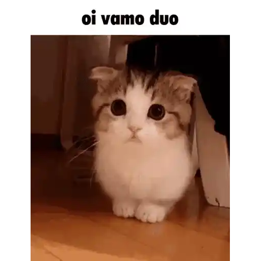 Figurinha: Oi vamo duo