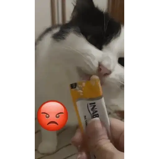 Figurinha: Gatinho comendo petisco